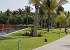 messico39